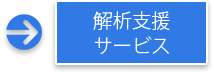 解析支援 サービス